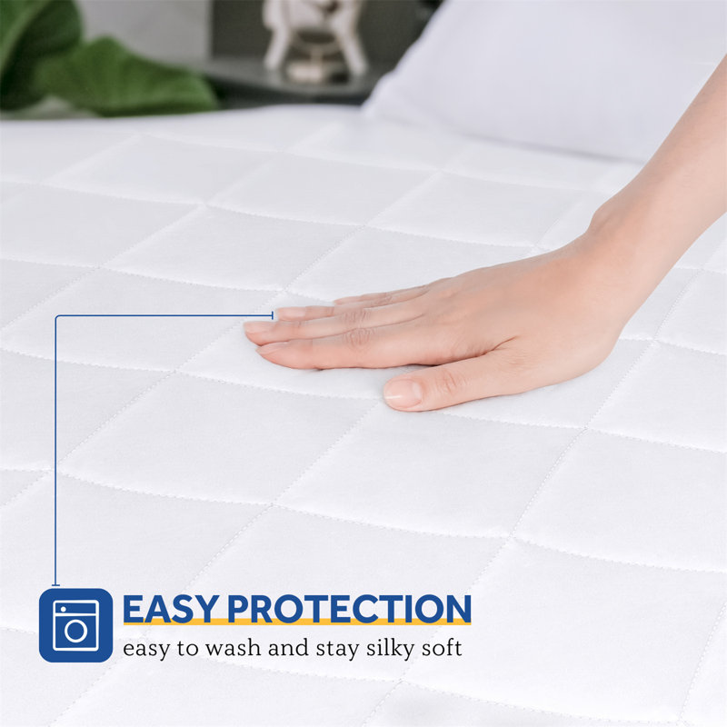 Sealy Heated Mattress Pad & Reviews Wayfair